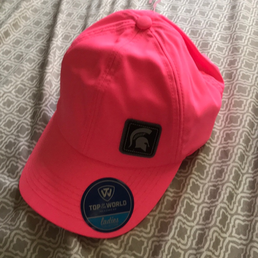 Brand new Michigan state hat